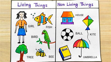 drawing of non living things